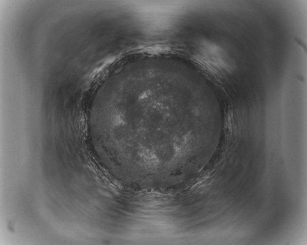 X0000100341398200806051527