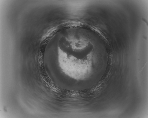 X0000100341399200806051527