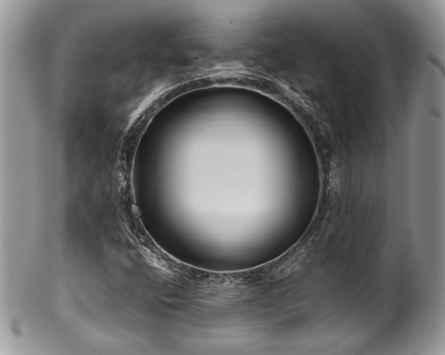 X0000100341400200806051527