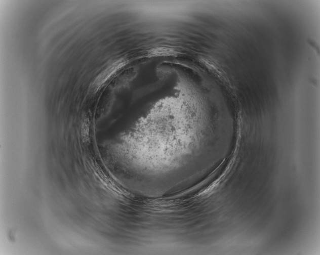 X0000100341401200806051527