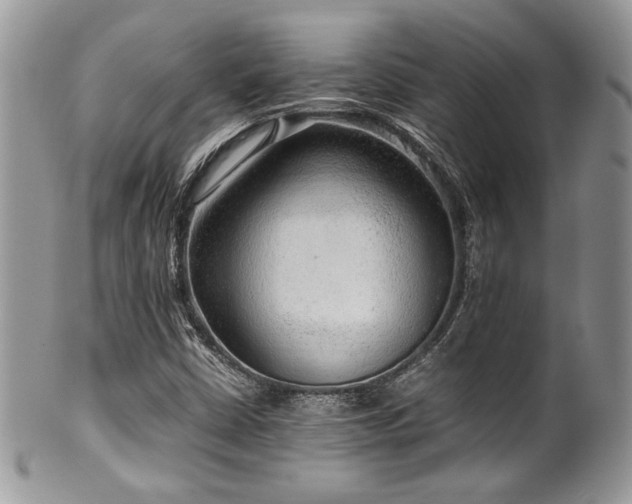 X0000100341402200806051527