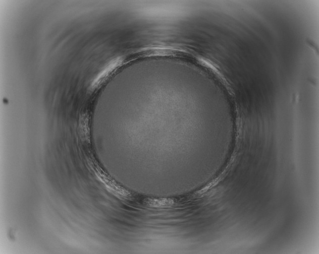 X0000100341403200806051527