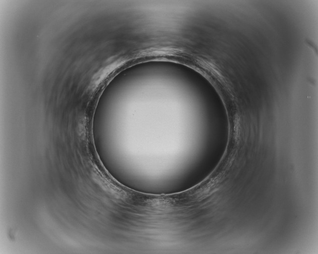 X0000100341404200806051527