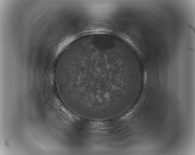 X0000100341405200806051527