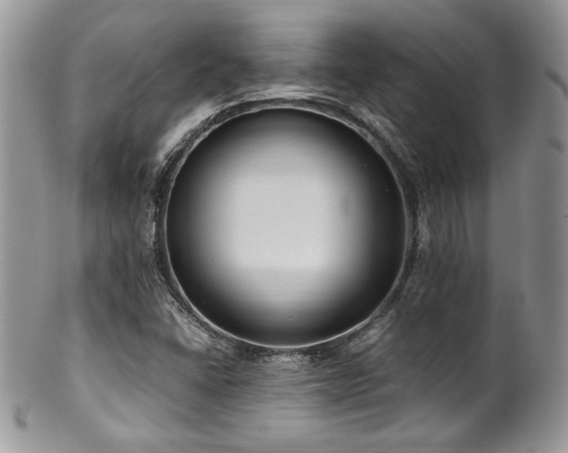X0000100341406200806051527