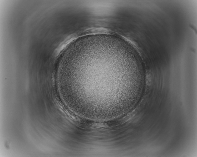 X0000100341407200806051527