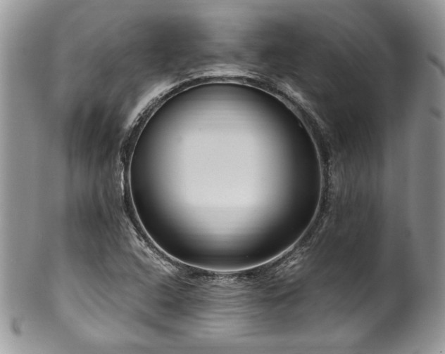 X0000100341408200806051527