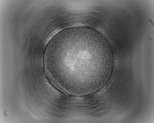 X0000100341409200806051527