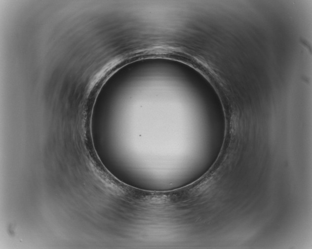 X0000100341410200806051527