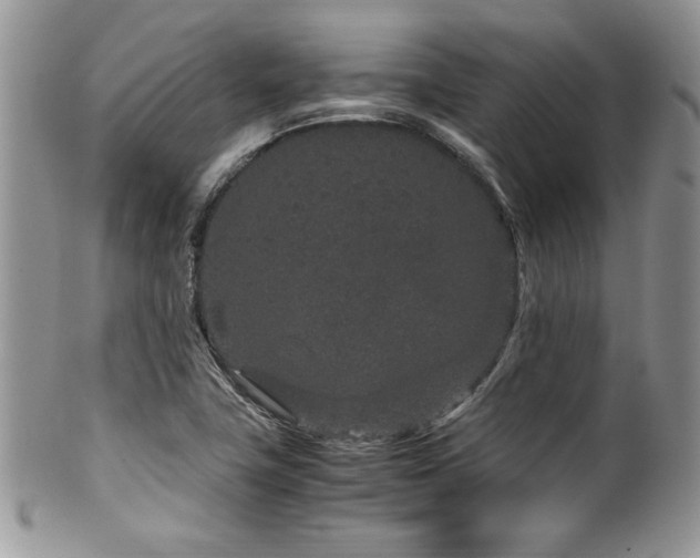 X0000100341411200806051527