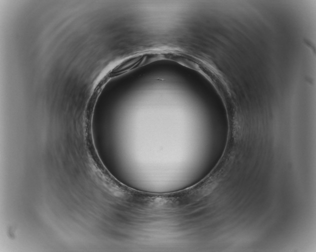X0000100341412200806051527