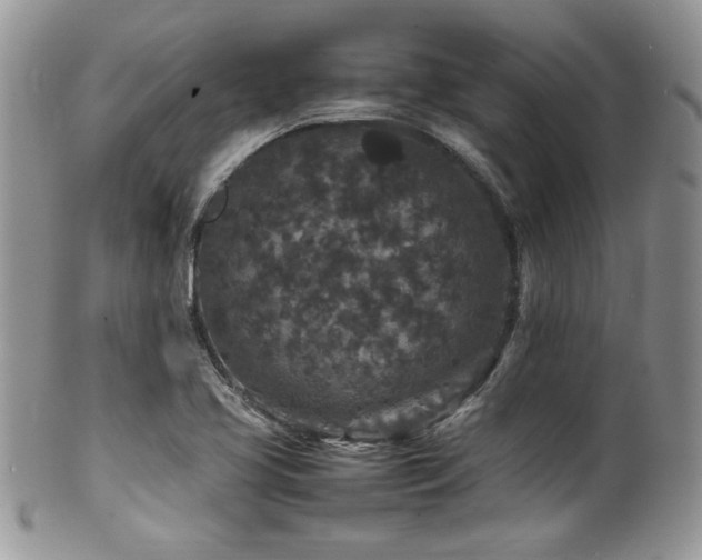 X0000100341413200806051527