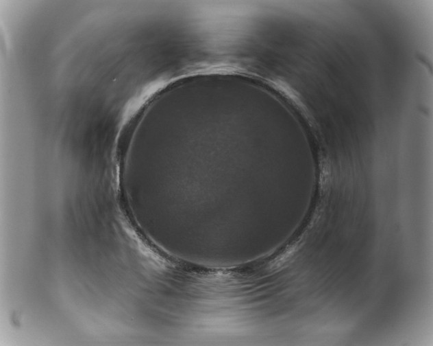 X0000100341414200806051527