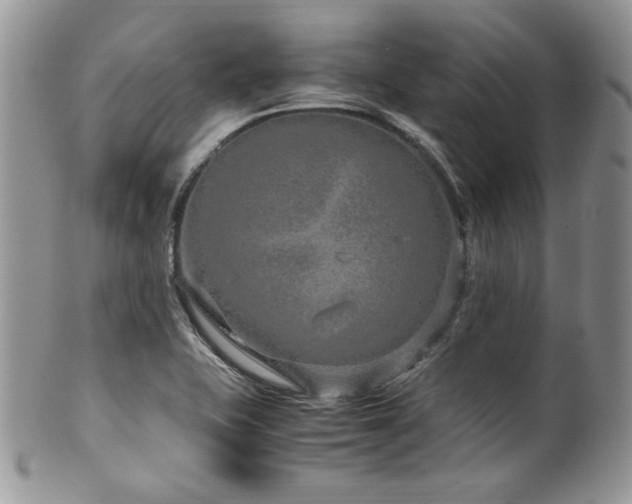 X0000100341415200806051527
