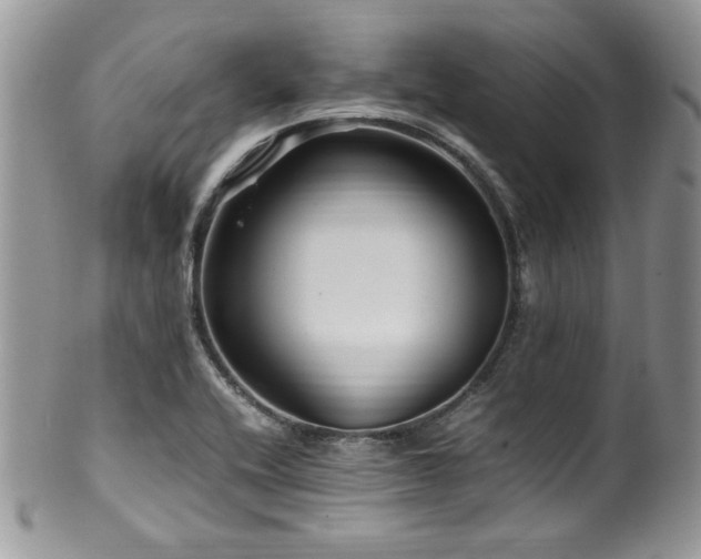 X0000100341416200806051527