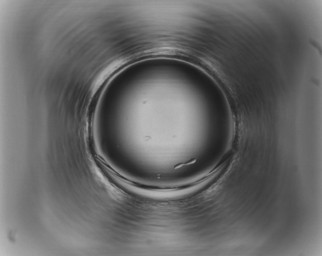 X0000100341418200806051527