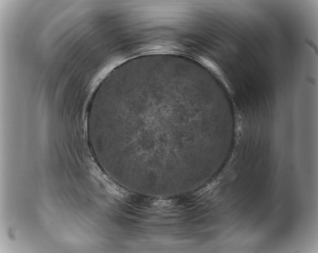 X0000100341419200806051527