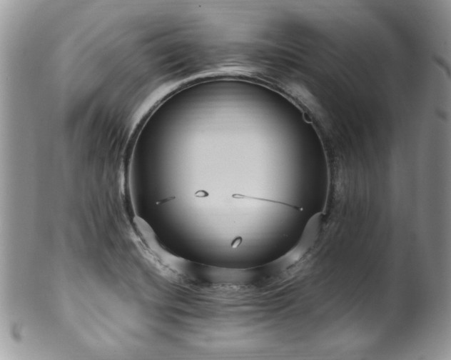 X0000100341420200806051527