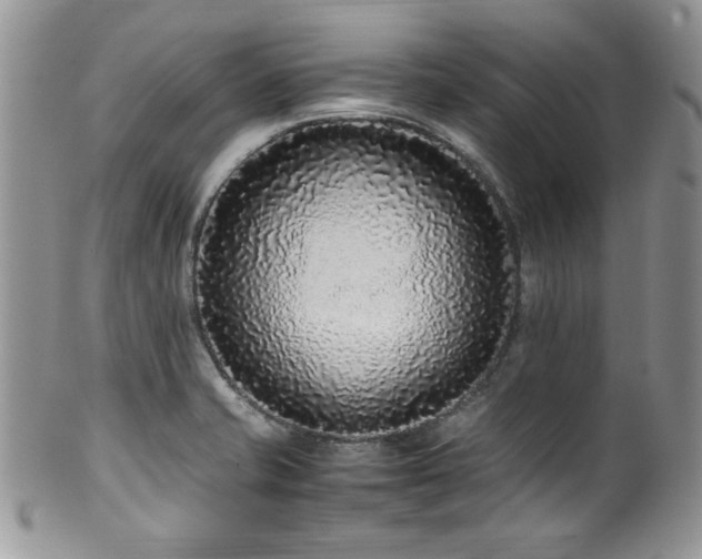 X0000100341421200806051527