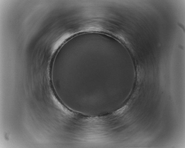 X0000100341422200806051527