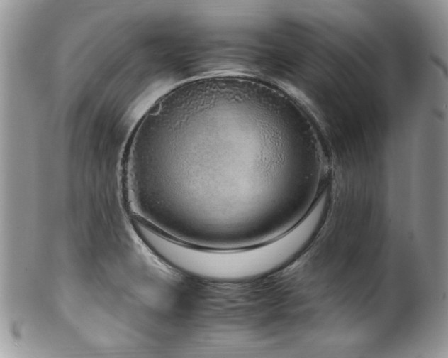 X0000100341423200806051527