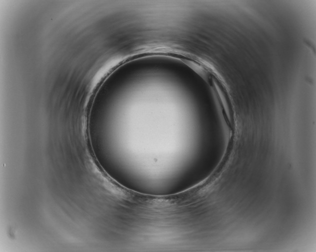X0000100341424200806051527