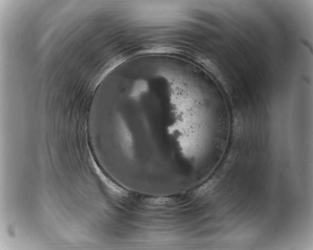 X0000100341425200806051527
