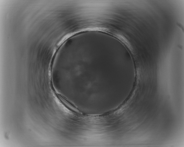 X0000100341428200806051527