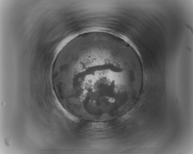 X0000100341429200806051527