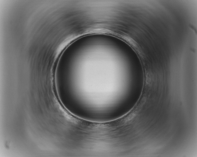 X0000100341430200806051527