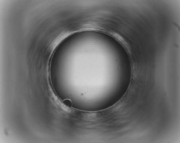 X0000100341431200806051527