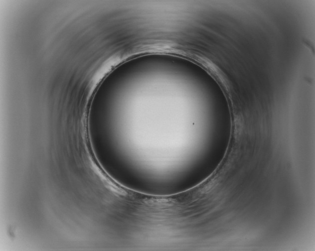 X0000100341432200806051527