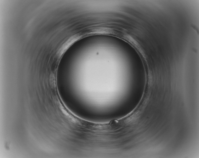 X0000100341433200806051527