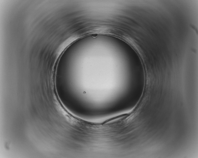 X0000100341434200806051527