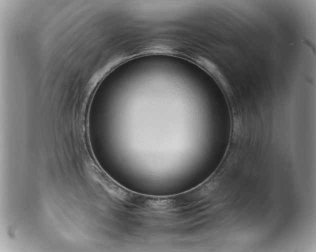 X0000100341435200806051527