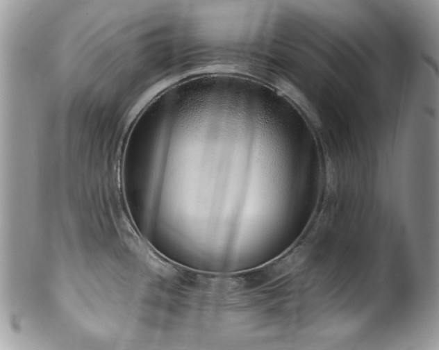 X0000100341436200806051527