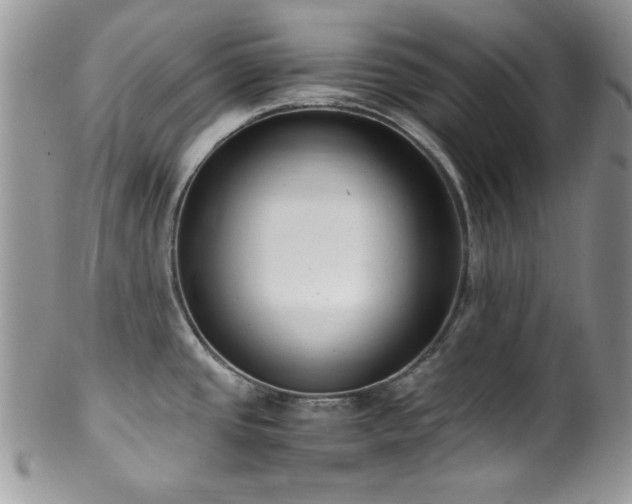 X0000100341437200806051527