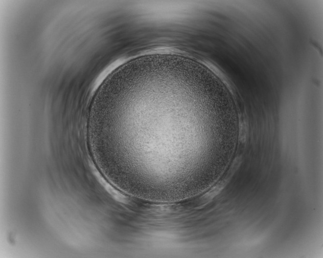 X0000100341438200806051527