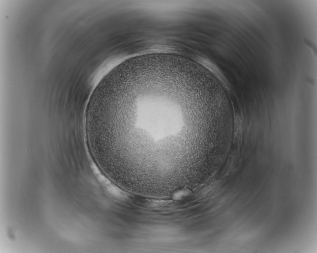 X0000100341439200806051528