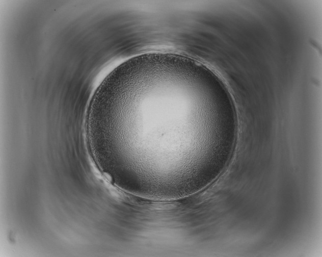 X0000100341440200806051528