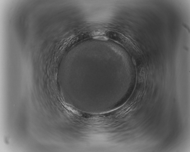 X0000100341441200806051527