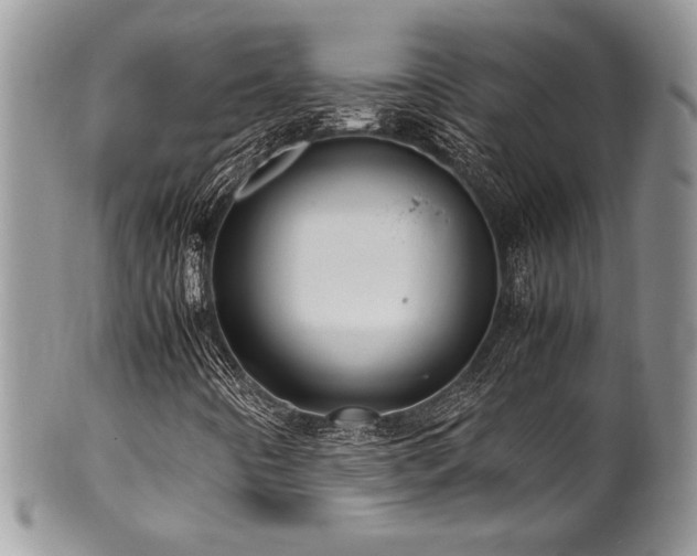 X0000100341442200806051527