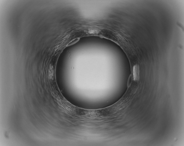 X0000100341443200806051527