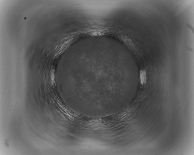 X0000100341444200806051527