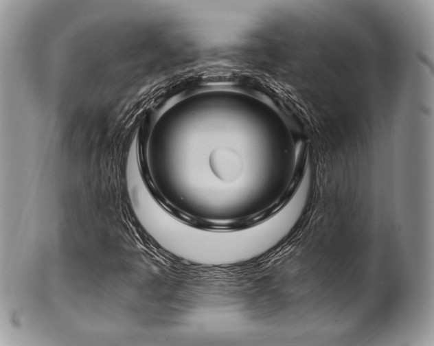 X0000100341445200806051527