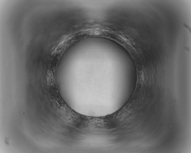 X0000100341446200806051527