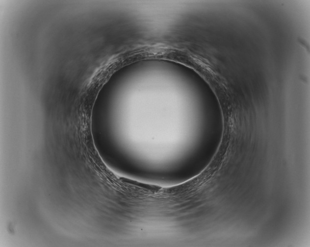 X0000100341447200806051527