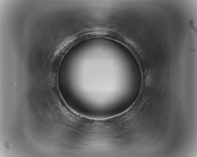 X0000100341448200806051527