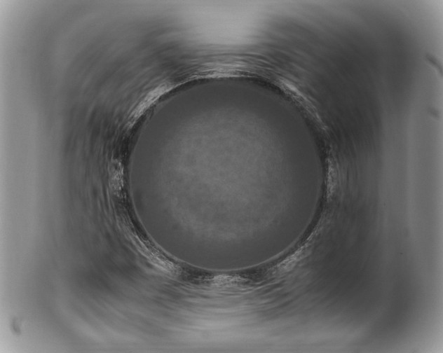 X0000100341449200806051527