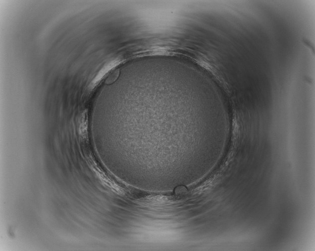 X0000100341450200806051527